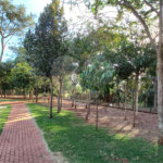 Terreno à venda em Residencial Alto do Castelo, Ribeirão Preto, SP