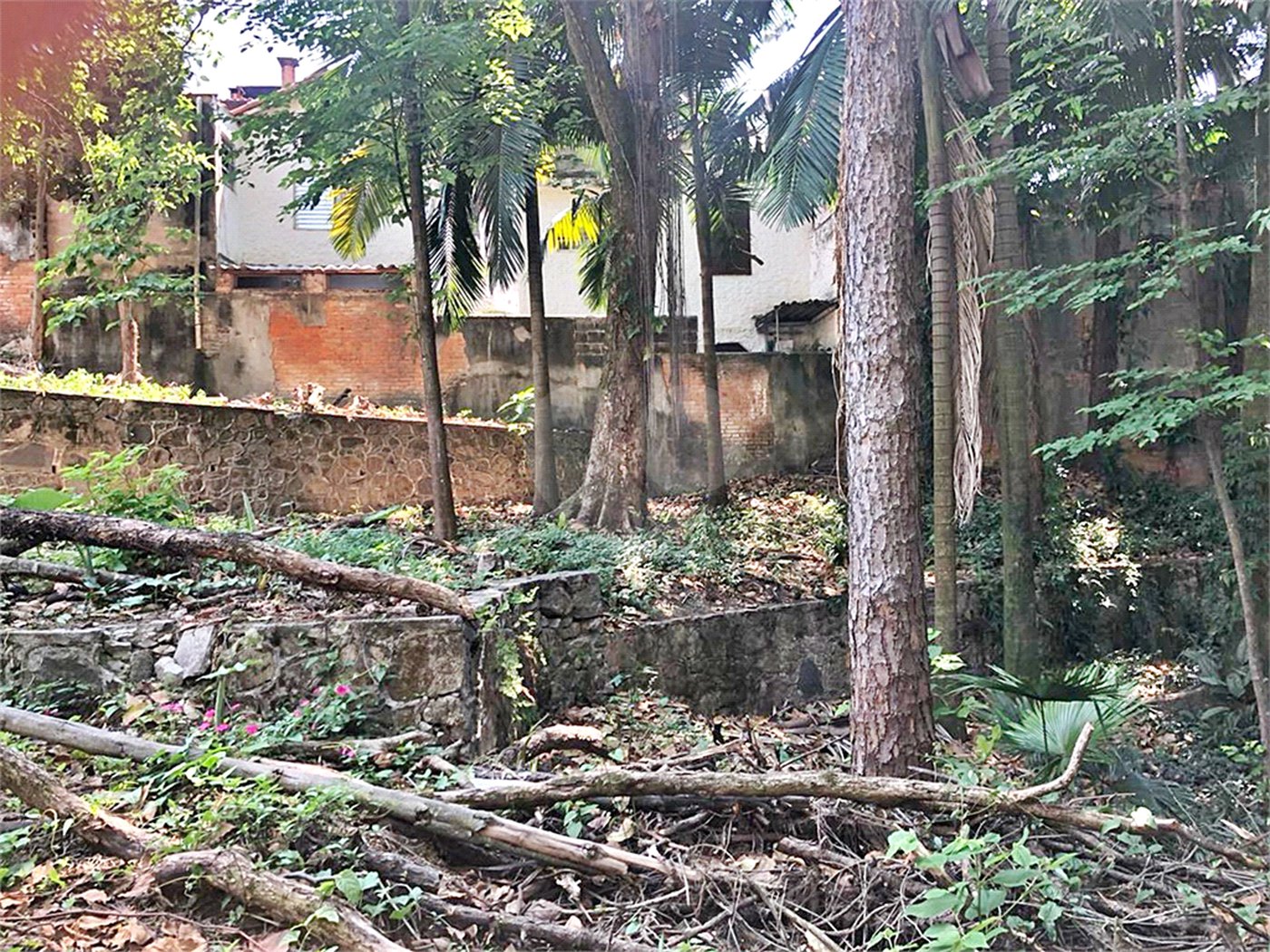 Terreno à venda em Tremembé, São Paulo, SP