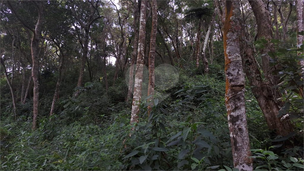 Terreno à venda em Serra da Cantareira, Mairiporã, SP
