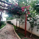 Apartamento à venda com 2 quartos, sendo 1 suíte, em Tucuruvi, São Paulo, SP