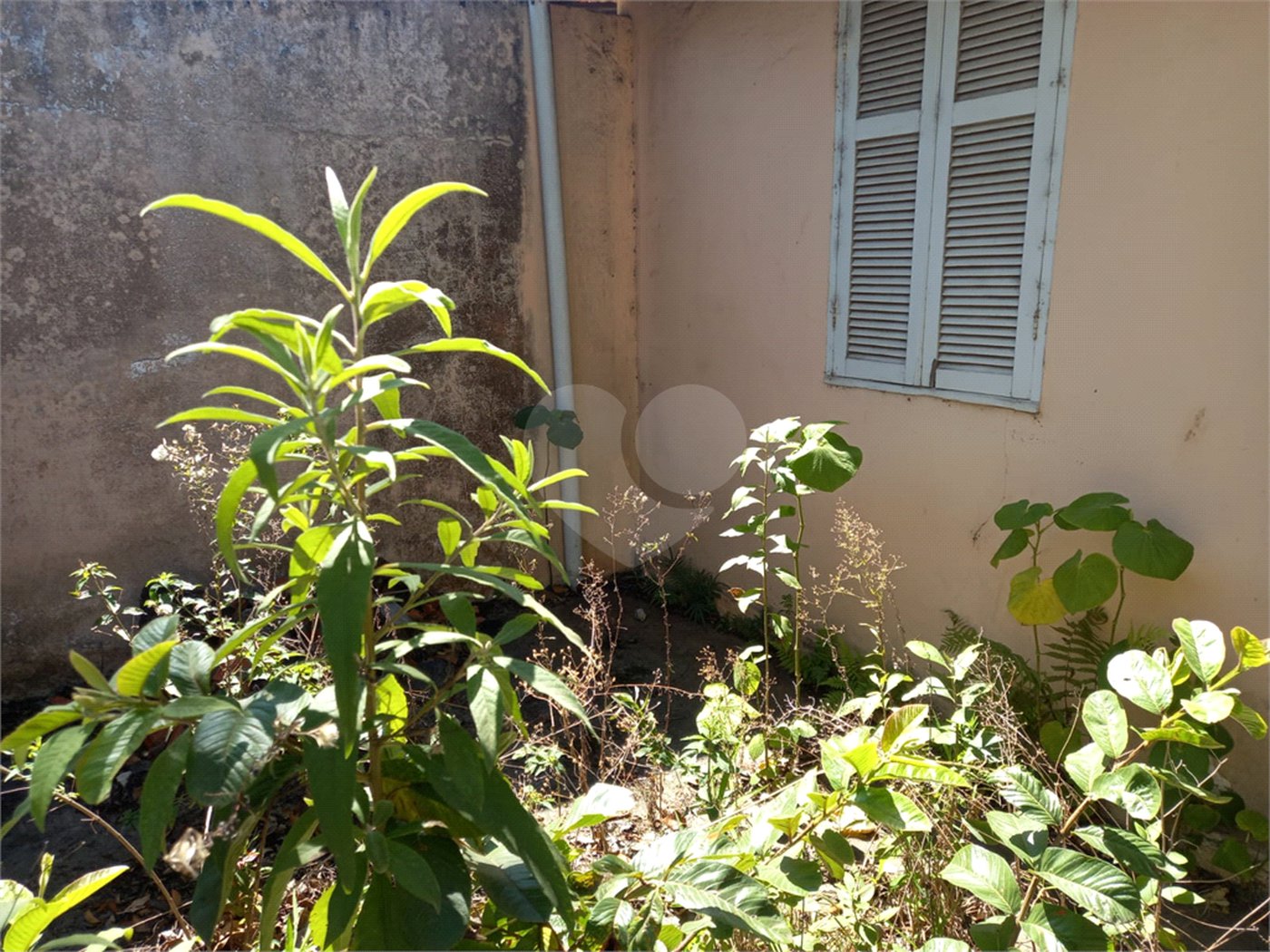 Terreno à venda em Vila Albertina, São Paulo, SP