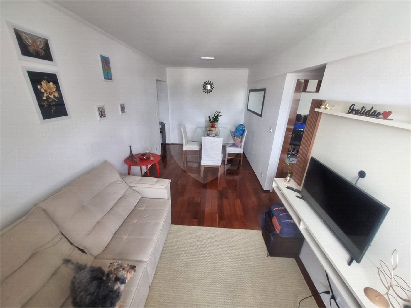 Apartamento à venda com 2 quartos em Vila Guilherme, São Paulo, SP