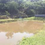 CHACARA A VENDA COM 3.190M², 2 DORMITORIOS, 2 BANHEIROS, 6 VAGAS - CHACARA SÃO JOSÉ - SÃO JOSEÉ DOS