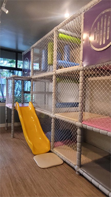 Apartamento à venda com 4 quartos, sendo 1 suíte, em Sumaré, São Paulo, SP