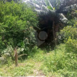Terreno à venda com 3 quartos em Freguesia do Ó, São Paulo, SP