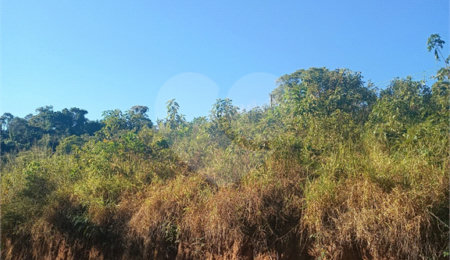 Terreno à venda no condomínio Bosque da Represa, Nazaré Paulista - SP