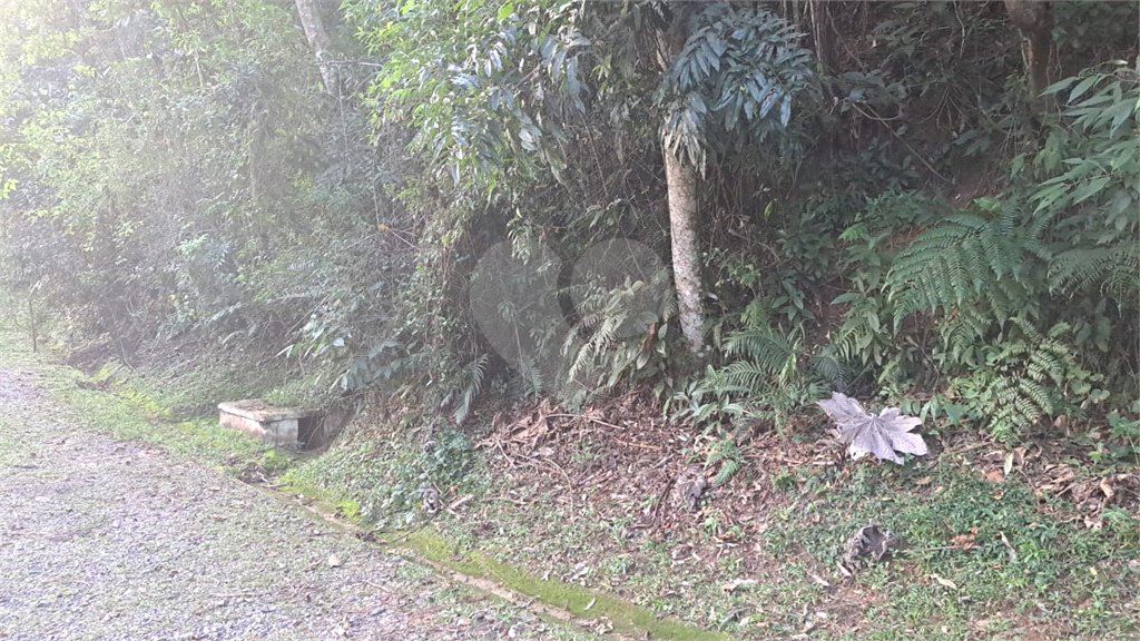 Terreno à venda no condomínio Associação Reserva das Hortênsias, Mairiporã - SP