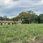 SÍTIO À VENDA EM ELIAS FAUSTO 21.900 m² - ÓTIMA TOPOGRAFIA E EXCELENTE LOCALIZAÇÃO