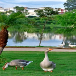 Casa em condomínio para alugar com 3 suítes em Jardim Ibiti do Paço, Sorocaba, SP