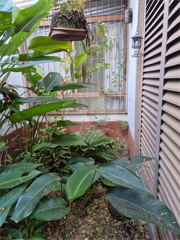 Casa à venda com 4 quartos, sendo 2 suítes, em Vila Mascote, São Paulo, SP