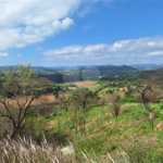 Área de Terra à venda com 1 suíte em Cocais, Itatiba, SP