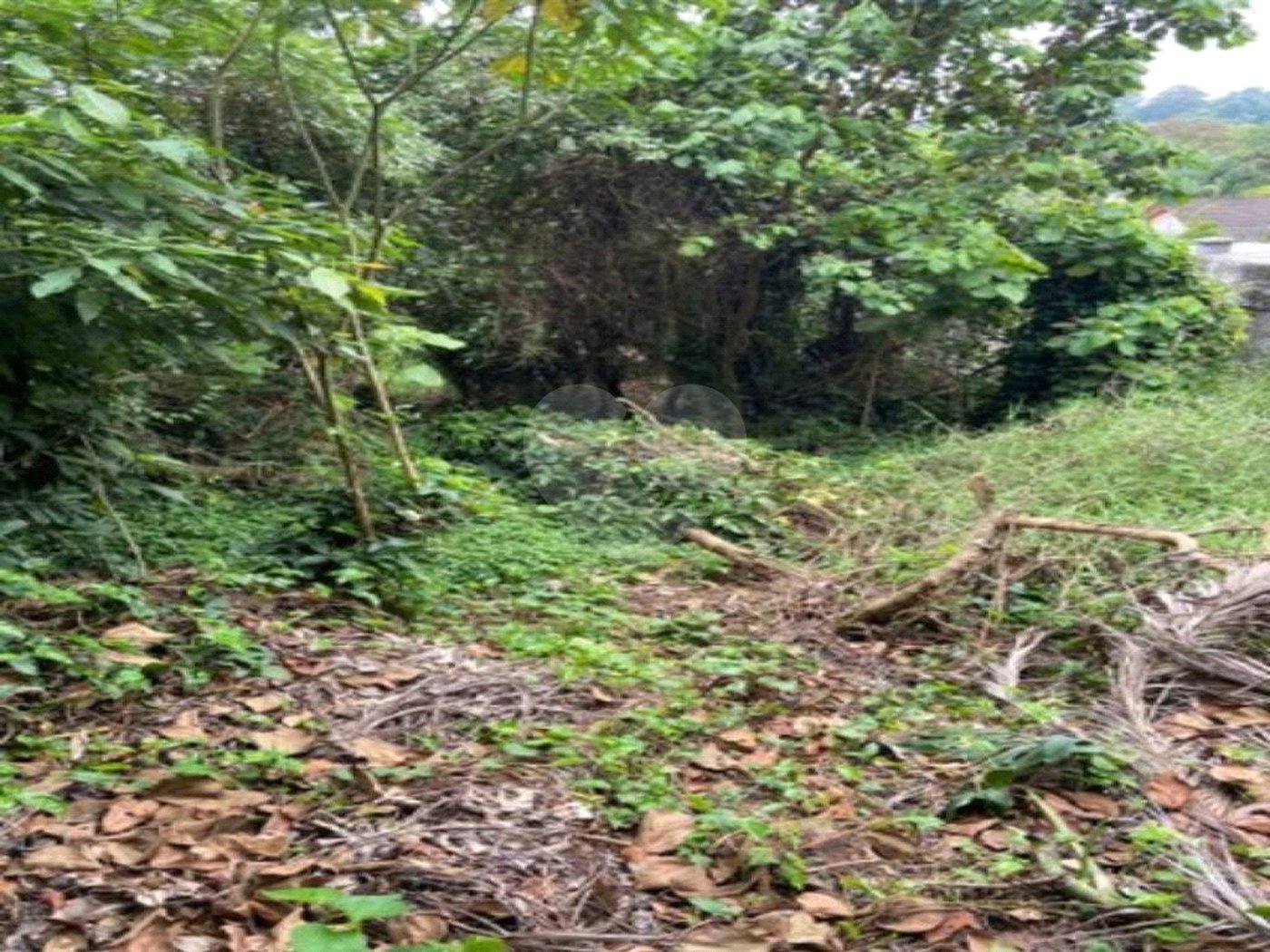 Terreno à venda em Jardim Leonor, São Paulo, SP