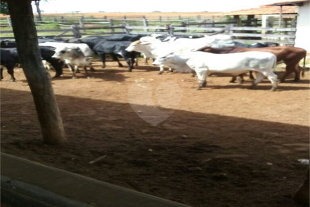 Fazenda à venda com 2 quartos em Canabrava, João Pinheiro, MG