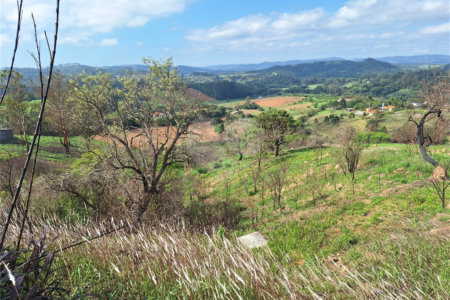 Área de Terra à venda com 1 suíte em Cocais, Itatiba, SP