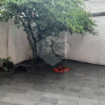 Sobrado à venda com 3 quartos, sendo 2 suítes, em Santana, São Paulo, SP