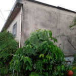 Casa Térrea à venda com 2 suítes em Vila Nova Cachoeirinha, São Paulo, SP