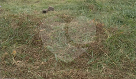 Terreno à venda em Jardim Centenário, Atibaia, SP