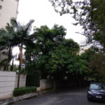 Terreno à venda em Vila Suzana, São Paulo, SP
