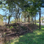 Terreno à venda em Horto, São Paulo, SP