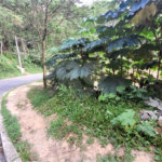 Terreno à venda em Barreiro, Mairiporã, SP