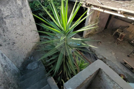 Terreno à venda em Cidade Líder, São Paulo, SP