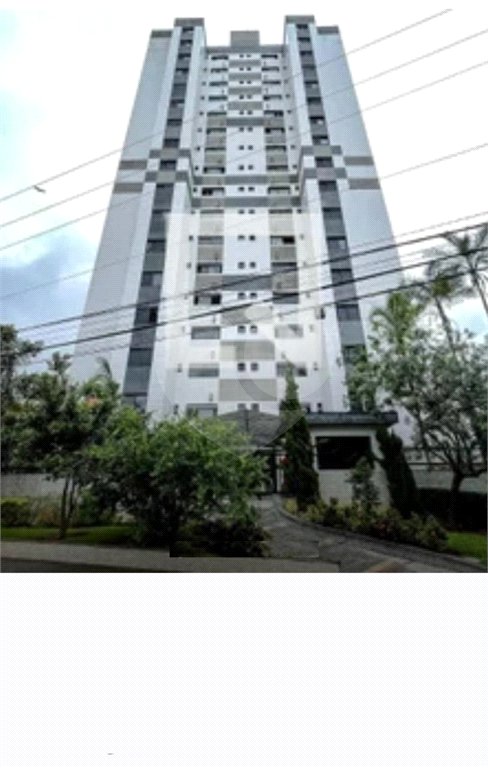 Apartamento à venda com 3 quartos, sendo 1 suíte, em Tucuruvi, São Paulo, SP