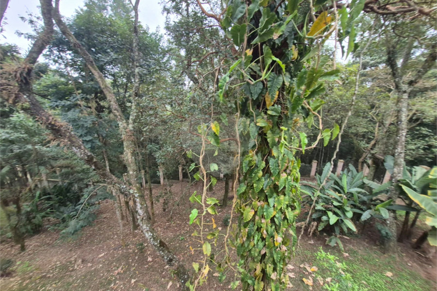 Sobrado para alugar com 4 suítes em Serra da Cantareira, Mairiporã, SP