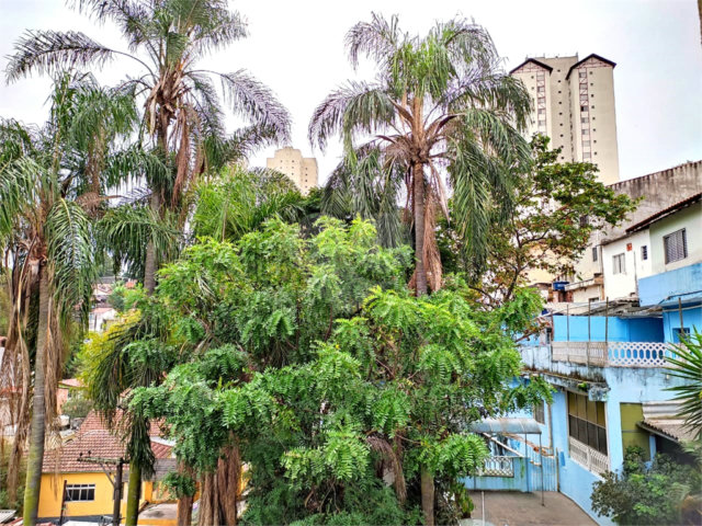 Terreno à venda com 5 quartos em Casa Verde, São Paulo, SP