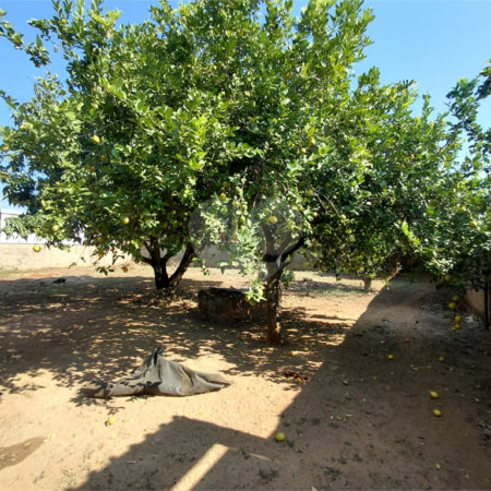Terreno à venda em Núcleo Residencial Professor Carlos Aldrovandi, Indaiatuba, SP
