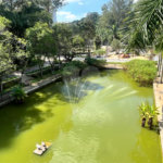 Cobertura à venda ou para alugar com 4 suítes em Jardim Morumbi, São Paulo, SP