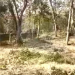 Terreno à venda em Luiz Fagundes, Mairiporã, SP