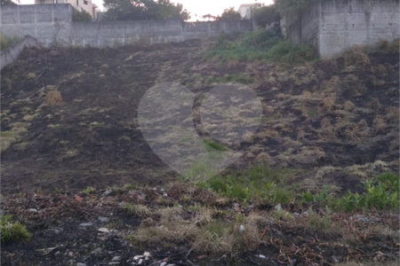 Terreno à venda em Vila Oliveira, Mogi das Cruzes, SP
