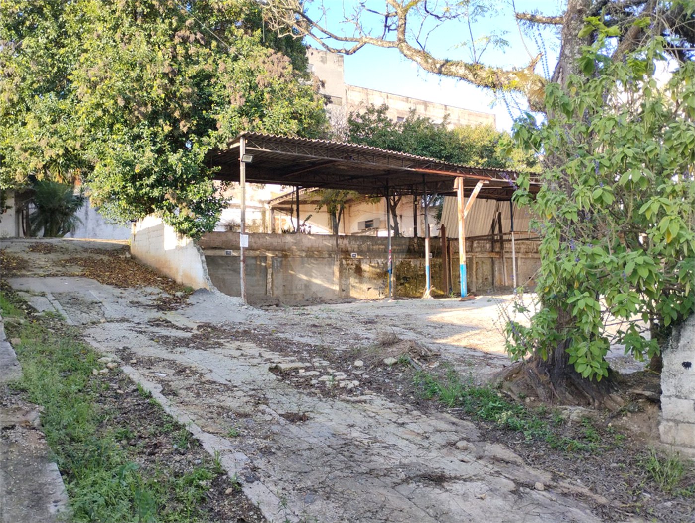 Terreno para alugar em Vila Santa Catarina, São Paulo, SP