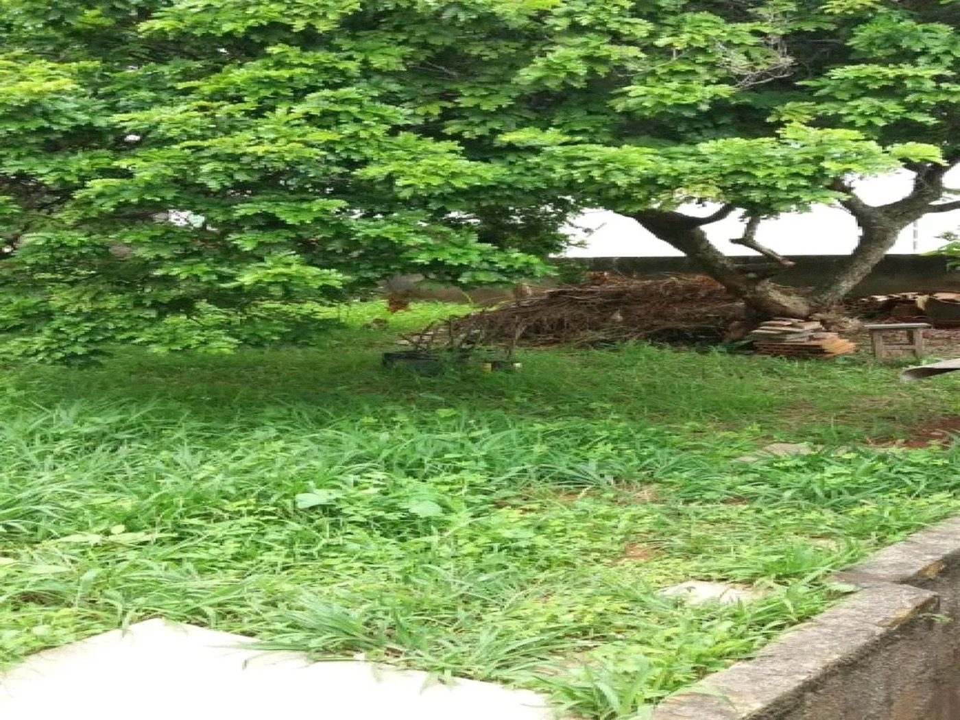 Casa à venda com 2 quartos em Jardim Peri Peri, São Paulo, SP