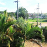 Casa à venda com 4 quartos em Capela, Vinhedo, SP