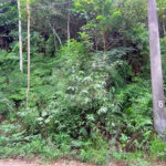 Terreno à venda no condomínio Sausalito, Mairiporã - SP