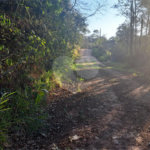 Terreno à venda em Serra da Cantareira, Mairiporã, SP
