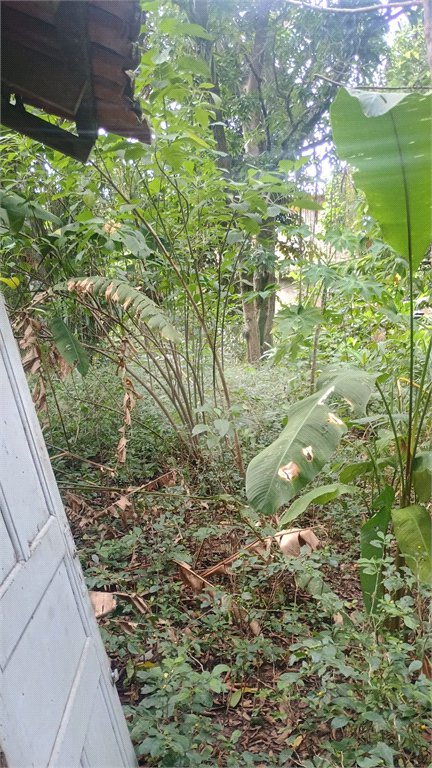 Área de Terra à venda com 4 quartos, sendo 1 suíte, em Pedra de Guaratiba, Rio de Janeiro, RJ