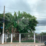 Terreno à venda em Campo Limpo, São Paulo, SP
