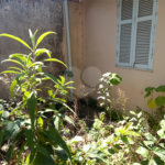 Terreno à venda em Vila Albertina, São Paulo, SP