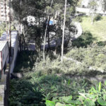 Terreno à venda ou para alugar em Vila Andrade, São Paulo, SP