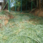 Terreno à venda em Vale Verde, Valinhos, SP