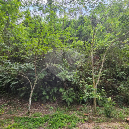 Terreno à venda em Chácara Recreio Lagoa dos Patos, Jundiaí, SP