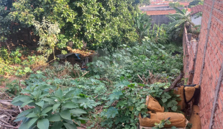 Terreno à venda em Jardim Pacaembu, São Carlos, SP