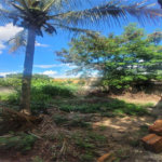 Casa à venda com 3 quartos em Jardim Campos Dourados, Monte Mor, SP