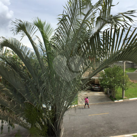 Casa à venda ou para alugar com 3 suítes no condomínio Recanto dos Paturis, Vinhedo - SP