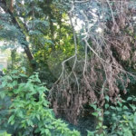 Terreno à venda em Tremembé, São Paulo, SP