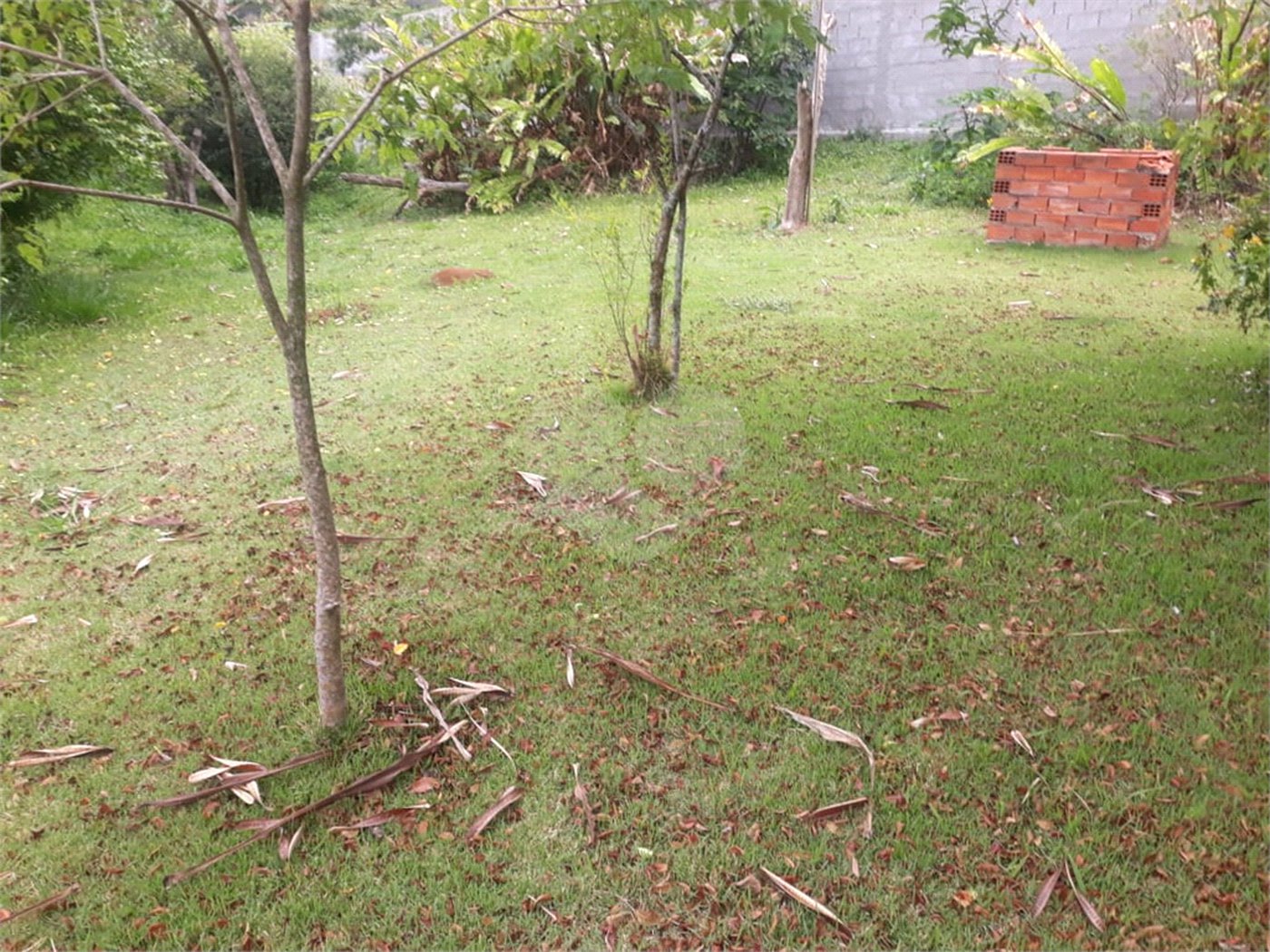 Terreno para alugar em Jardim Rene, São Roque, SP