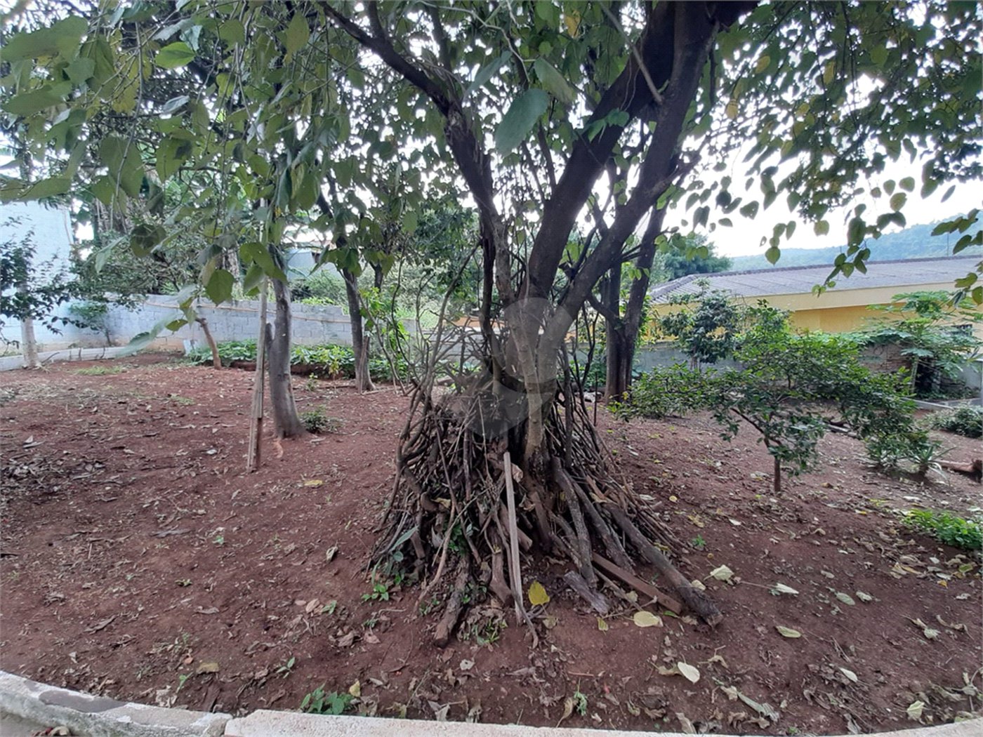 Casa Térrea à venda com 2 quartos em Vila Clarice, São Paulo, SP