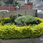Apartamento à venda com 2 quartos, sendo 1 suíte, em Parada Inglesa, São Paulo, SP
